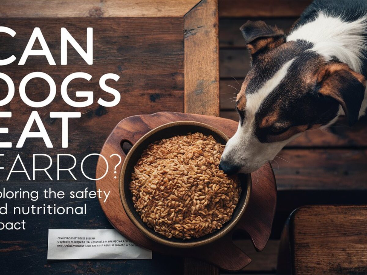 Can dogs eat cooked farro hotsell